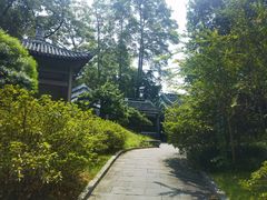 -柳侯公园