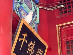 -潭柘寺景区