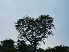 -长洲岛