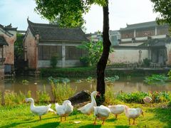 -呈坎景区