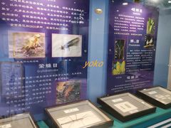 -上海昆虫博物馆