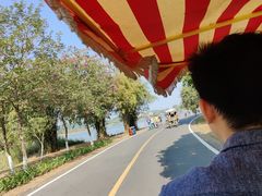 -松山湖南湖湾露营营地