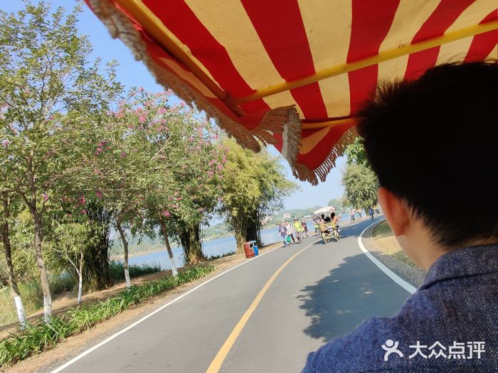 松山湖南湖湾露营营地图片