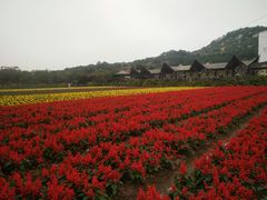 -丹樱生态园