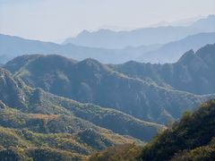 -大岭沟猕猴桃谷风景区