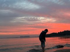 -瑶湖郊野森林公园