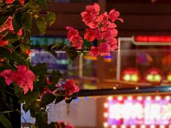 -川里谈·川味小馆(北京路店)