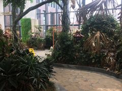 -悦隆庄温泉度假酒店