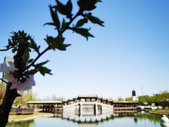 -西海子公园