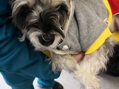 -安安宠医·安宠宠物医院