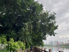 -南宁南湖公园