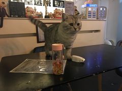 -Doors独立剧情密室(东门分店)