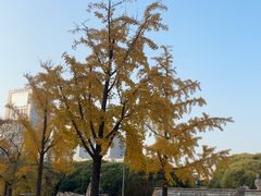 -元大都城垣遗址公园