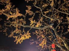 -大笑饭堂(甲子桥店)