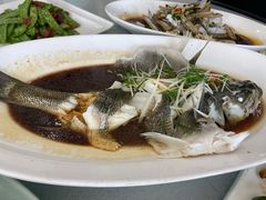 -新天明砂锅鱼头煲