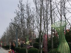 -南宫五洲植物乐园