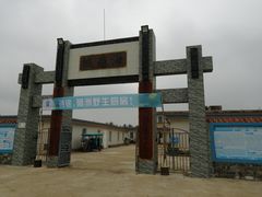 -硇洲岛旅游区