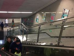 -大龙山(地铁站)