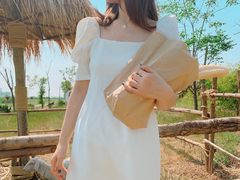 -茯茶镇