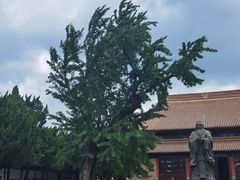 -苏州文庙(姑苏区)