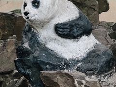 -杭州动物园