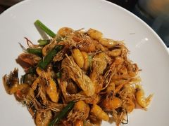 油爆丹江活青虾-清水亭湖北菜(大屯DT51店)