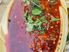 -青城甲(青城山店)