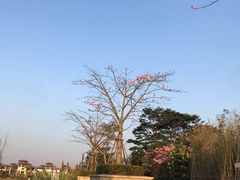 -美的鹭湖森林度假区