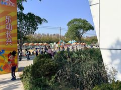 -上海长兴岛郊野公园