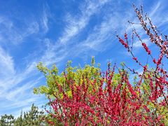 -永定河休闲森林公园