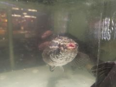 -家乐福(川沙店)