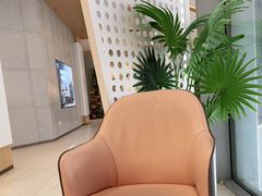 -CoCo都可(龙德广场店)