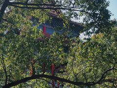 -开福禅寺