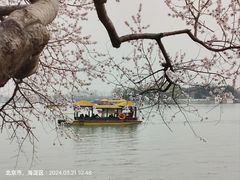 -颐和园
