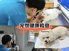 -pd派德宠物中心医院24H急重症·眼科中心·血液透析中心(嵩山北路店)