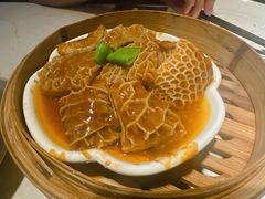 -点都德·毕德寮