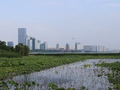 -苏州金鸡湖大酒店