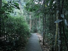 -姑婆山旅游区