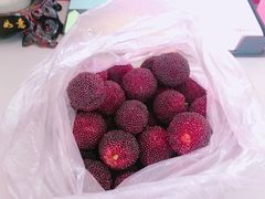 -西山樟坞健康果园枇杷杨梅采摘