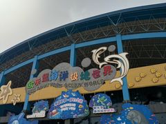 -泉城欧乐堡海洋极地世界