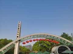 -南山植物园