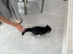 -宠颐生宠物医院·骨外科·犬猫全科诊疗中心(池州店)