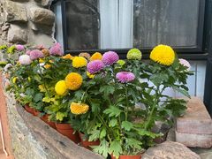 -寂照庵