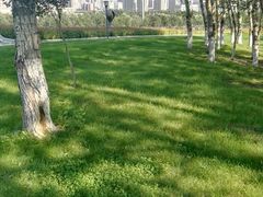 -长春世界雕塑园冰雪艺术天地