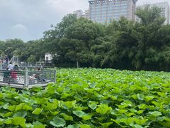 -包公祠