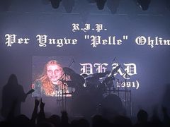 -瓦肆 VAS ear(普陀沪西店)