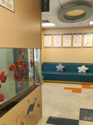 -杭州贝瑞斯美华妇儿医院·早孕·产检·儿科