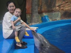 -华夏文旅海洋公园