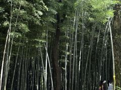 -西湖风景区十里琅珰-五云山