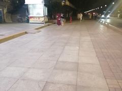 -武汉知音号